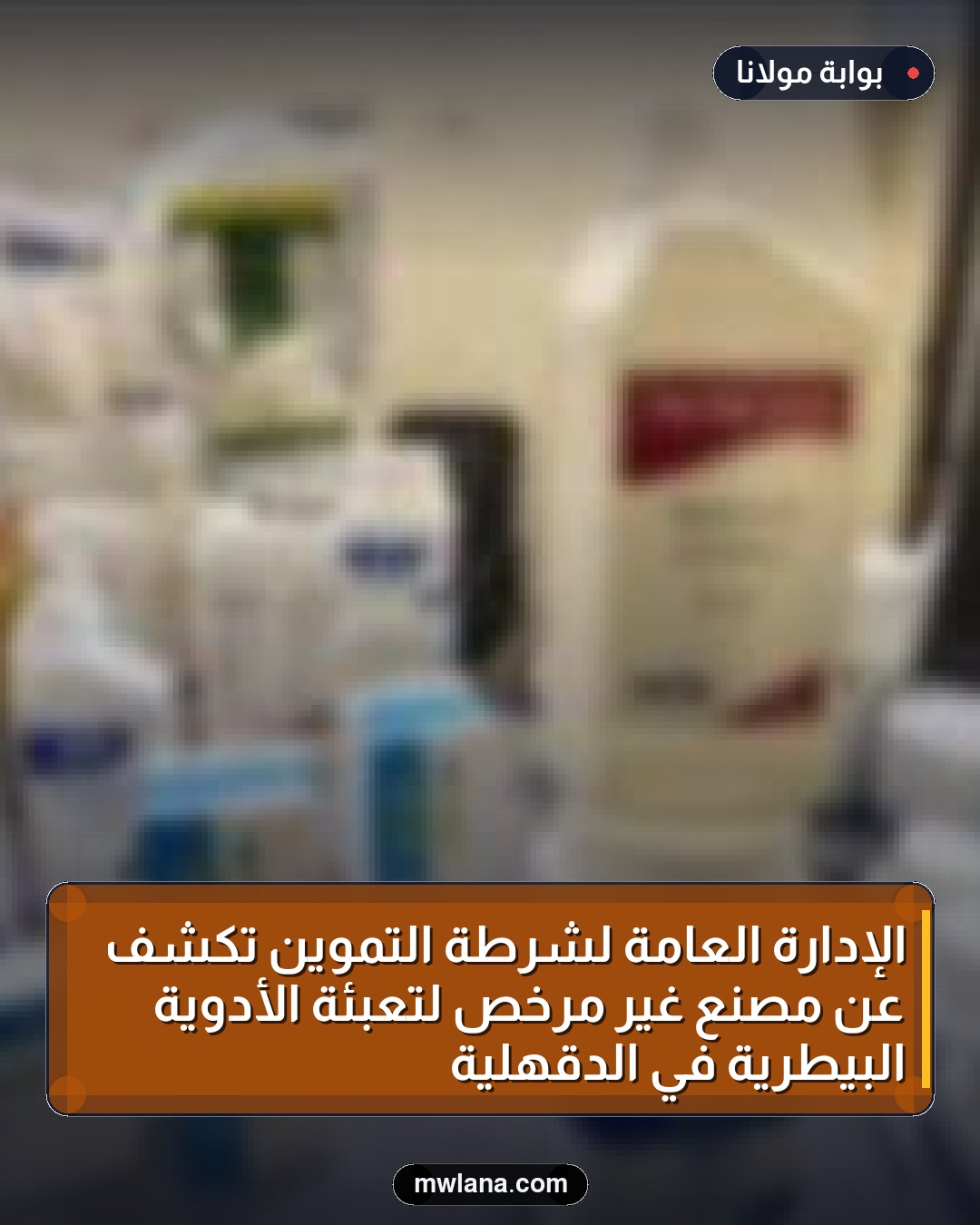 الإدارة العامة لشرطة التموين تكشف عن مصنع غير مرخص لتعبئة الأدوية البيطرية في الدقهلية