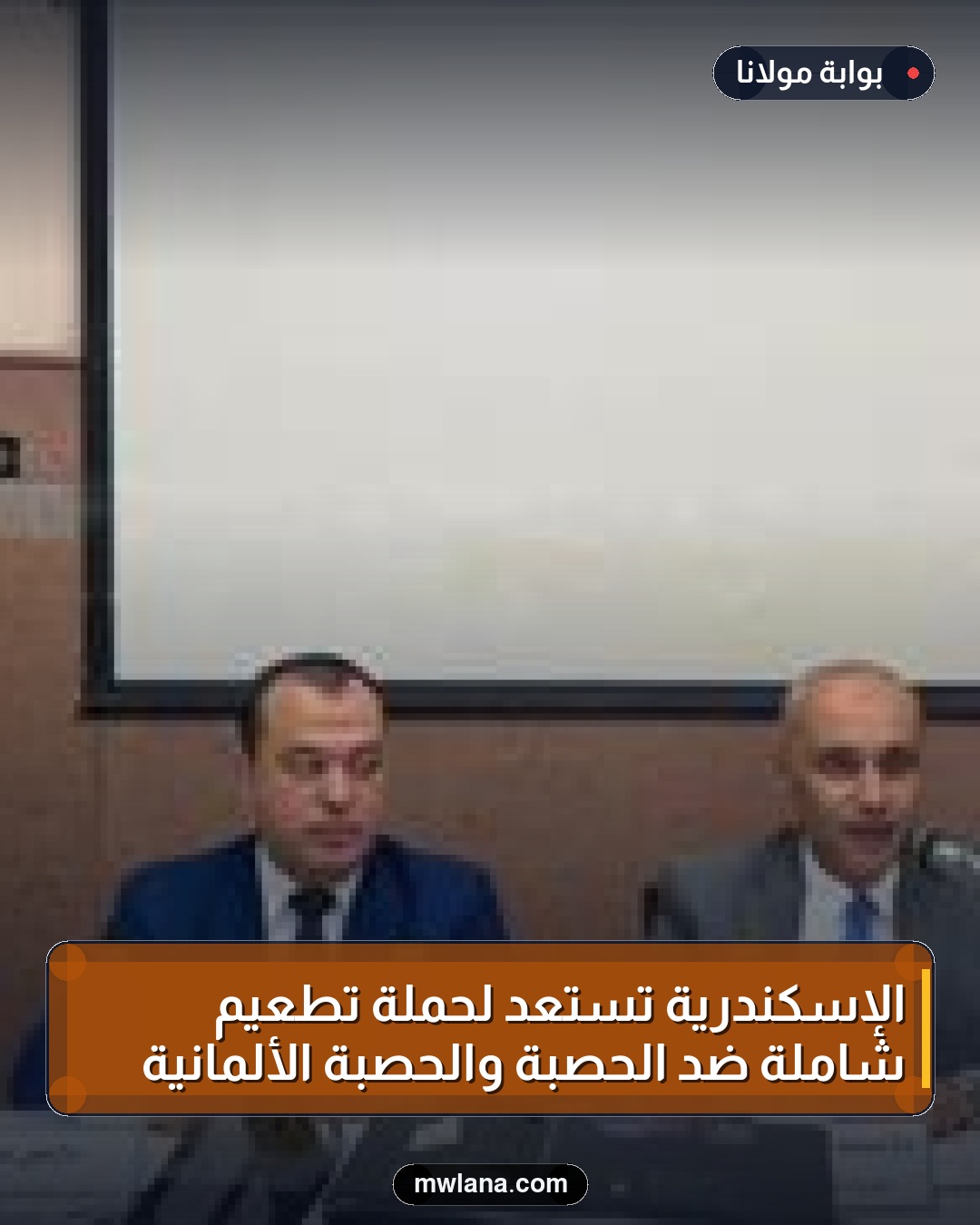الإسكندرية تستعد لحملة تطعيم شاملة ضد الحصبة والحصبة الألمانية