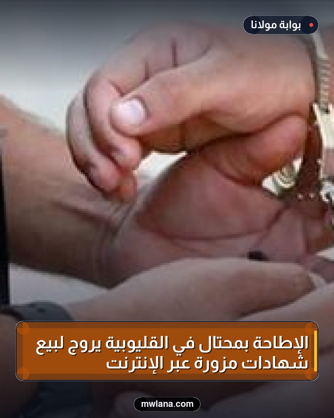 الإطاحة بمحتال في القليوبية يروّج لبيع شهادات مزوّرة عبر الإنترنت