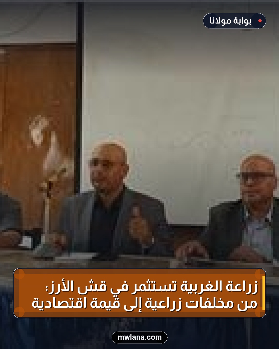 زراعة الغربية تستثمر في قش الأرز: من مخلفات زراعية إلى قيمة اقتصادية