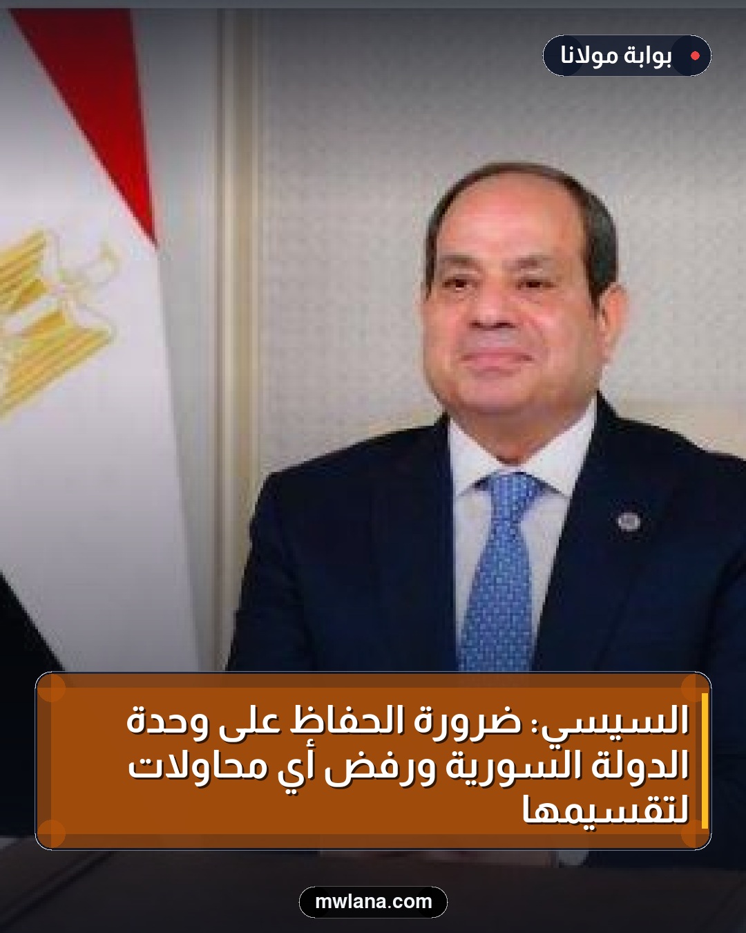 السيسي: ضرورة الحفاظ على وحدة الدولة السورية ورفض أي محاولات لتقسيمها