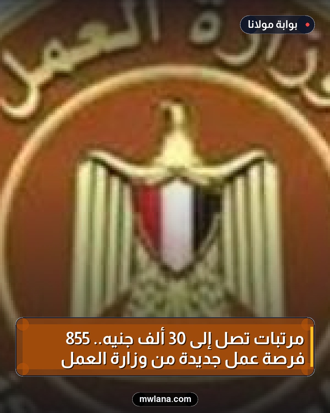 مرتبات تصل إلى 30 ألف جنيه.. 855 فرصة عمل جديدة من وزارة العمل