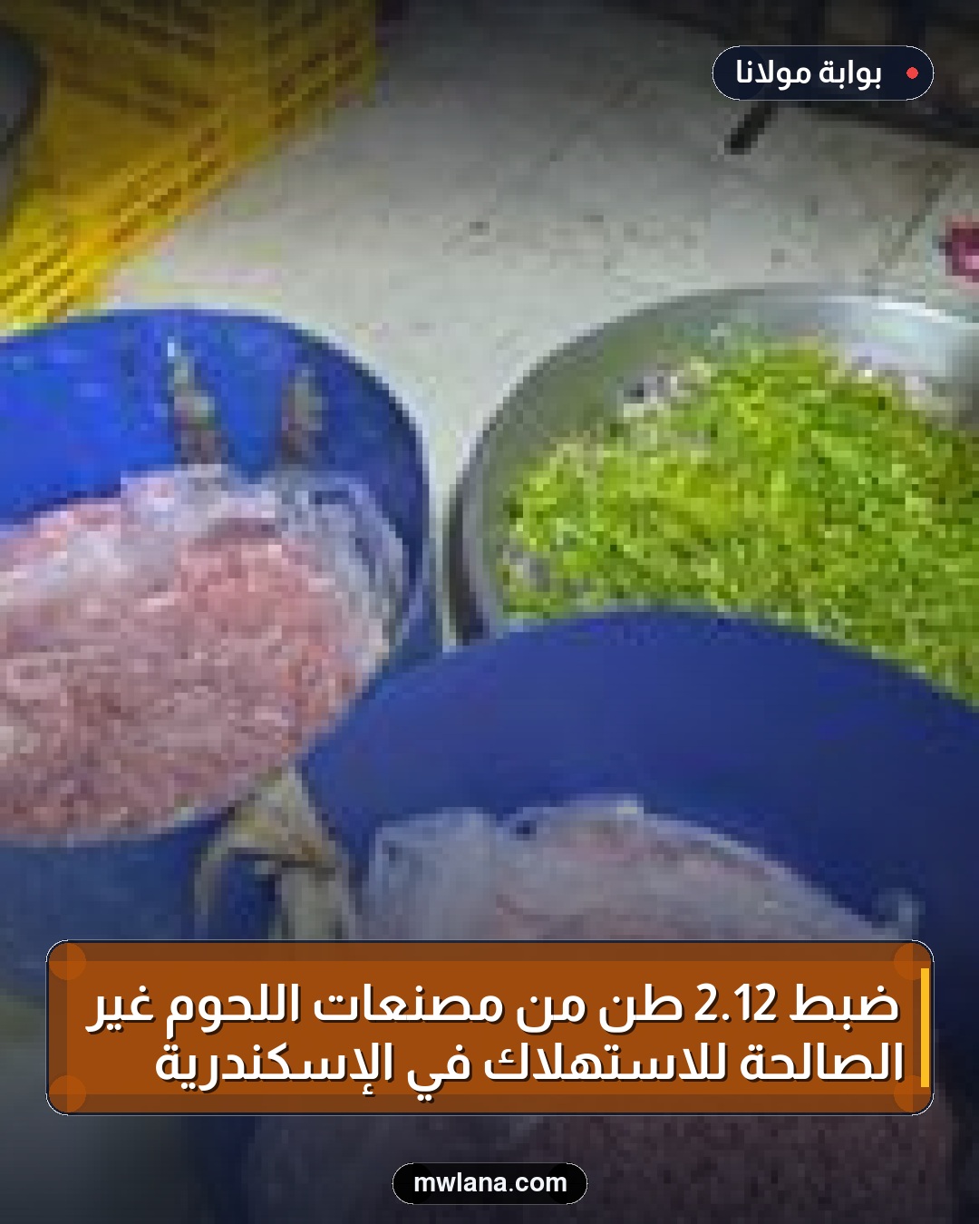 ضبط 12.2 طن من مصنعات اللحوم غير الصالحة للاستهلاك في الإسكندرية