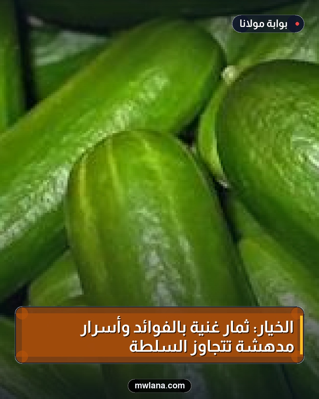 الخيار: ثمار غنية بالفوائد وأسرار مدهشة تتجاوز السلطة
