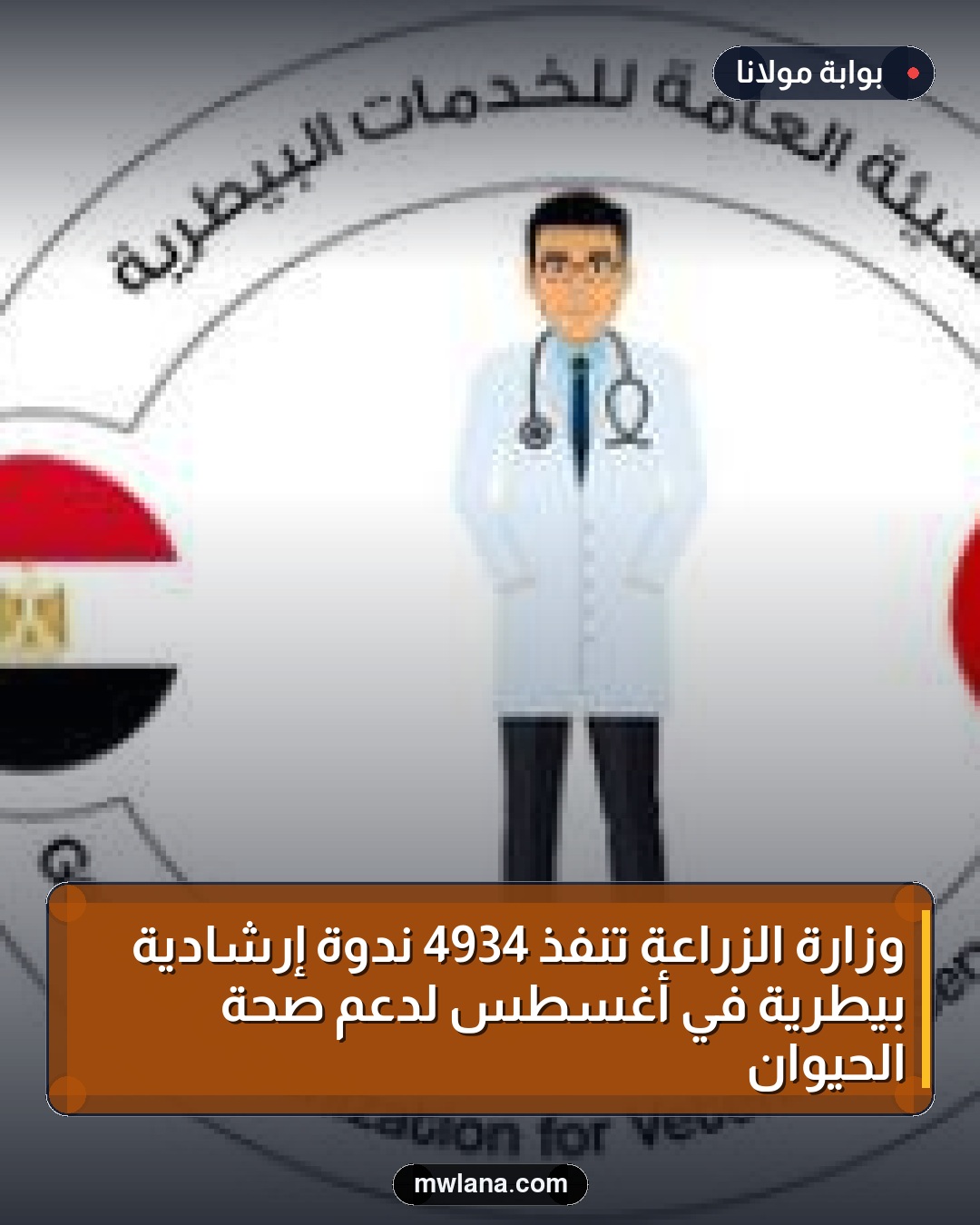 وزارة الزراعة تنفذ 4934 ندوة إرشادية بيطرية في أغسطس لدعم صحة الحيوان