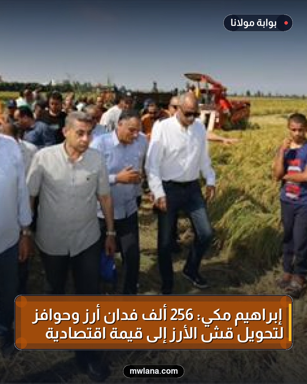 إبراهيم مكي: 256 ألف فدان أرز وحوافز لتحويل قش الأرز إلى قيمة اقتصادية