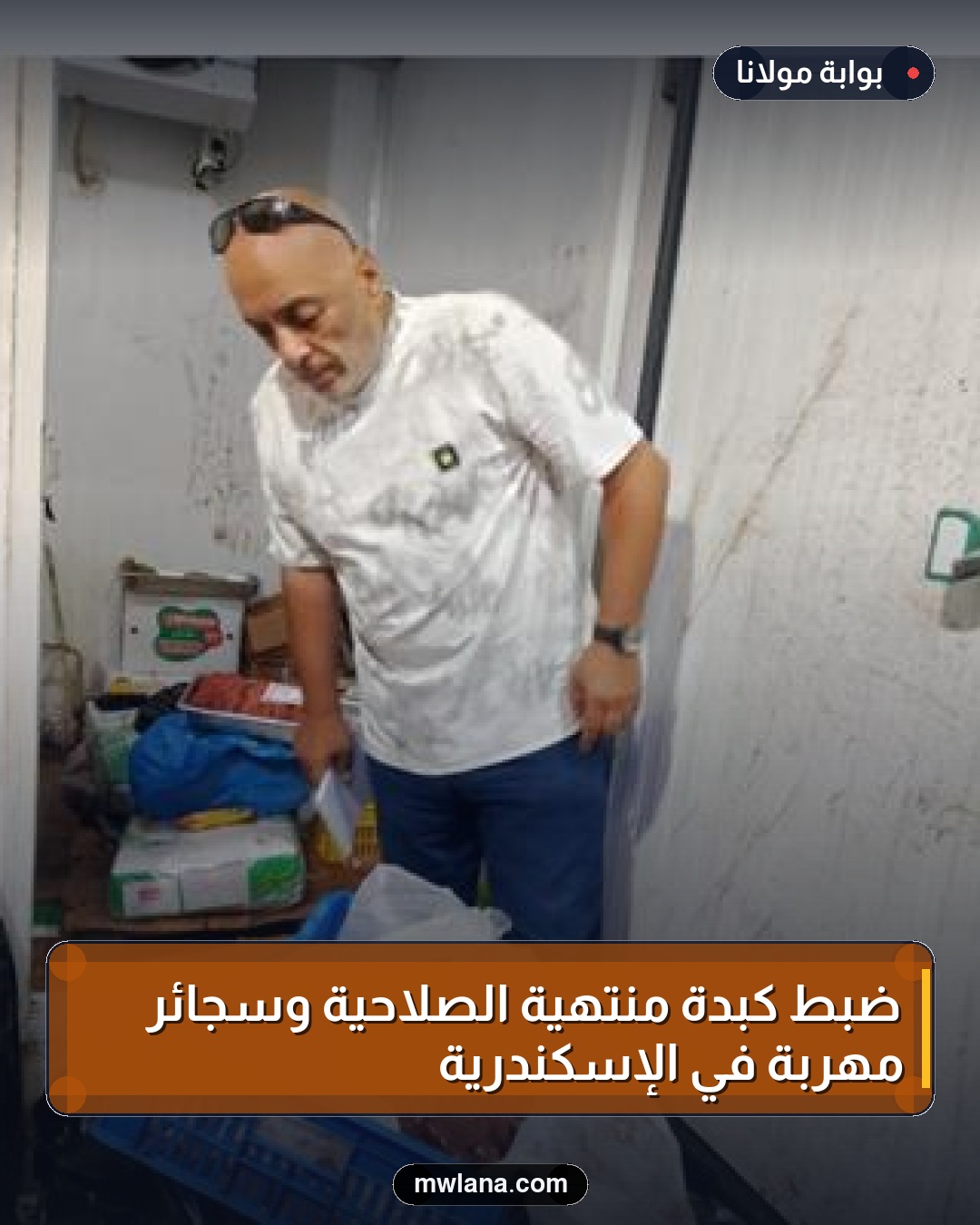 ضبط كبدة منتهية الصلاحية وسجائر مهربة في الإسكندرية