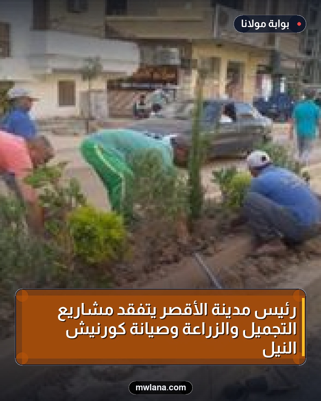 رئيس مدينة الأقصر يتفقد مشاريع التجميل والزراعة وصيانة كورنيش النيل