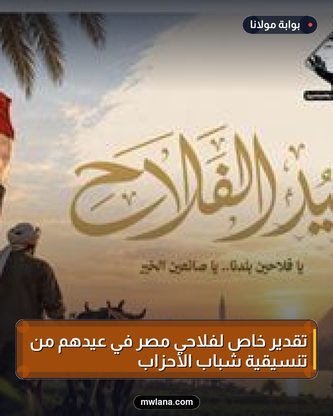 تقدير خاص لفلاحي مصر في عيدهم من تنسيقية شباب الأحزاب