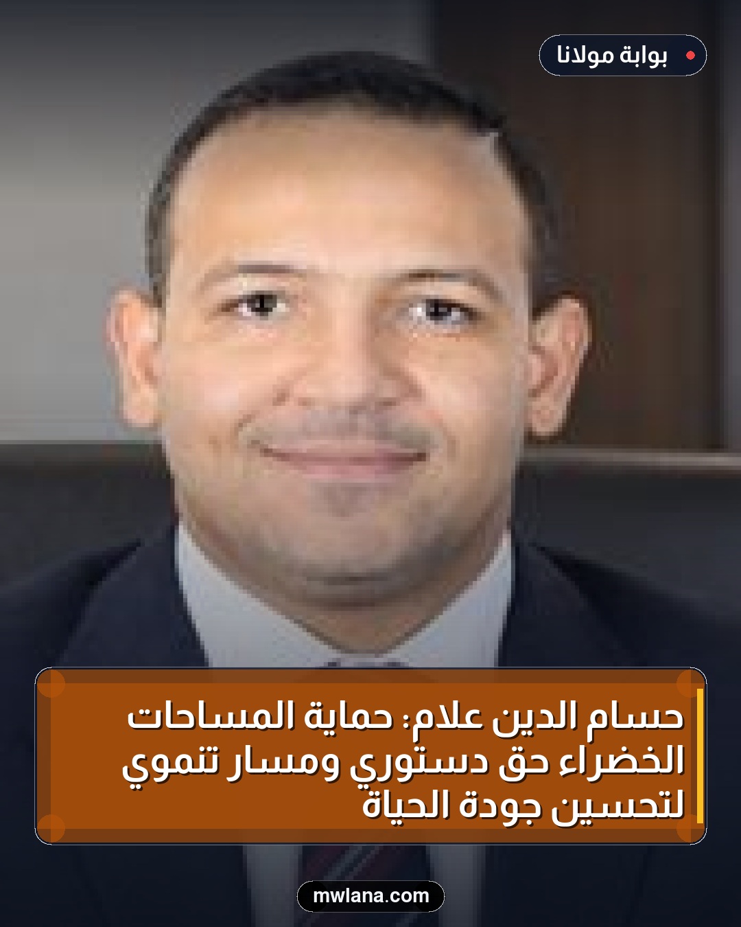 حسام الدين علام: حماية المساحات الخضراء حق دستوري ومسار تنموي لتحسين جودة الحياة