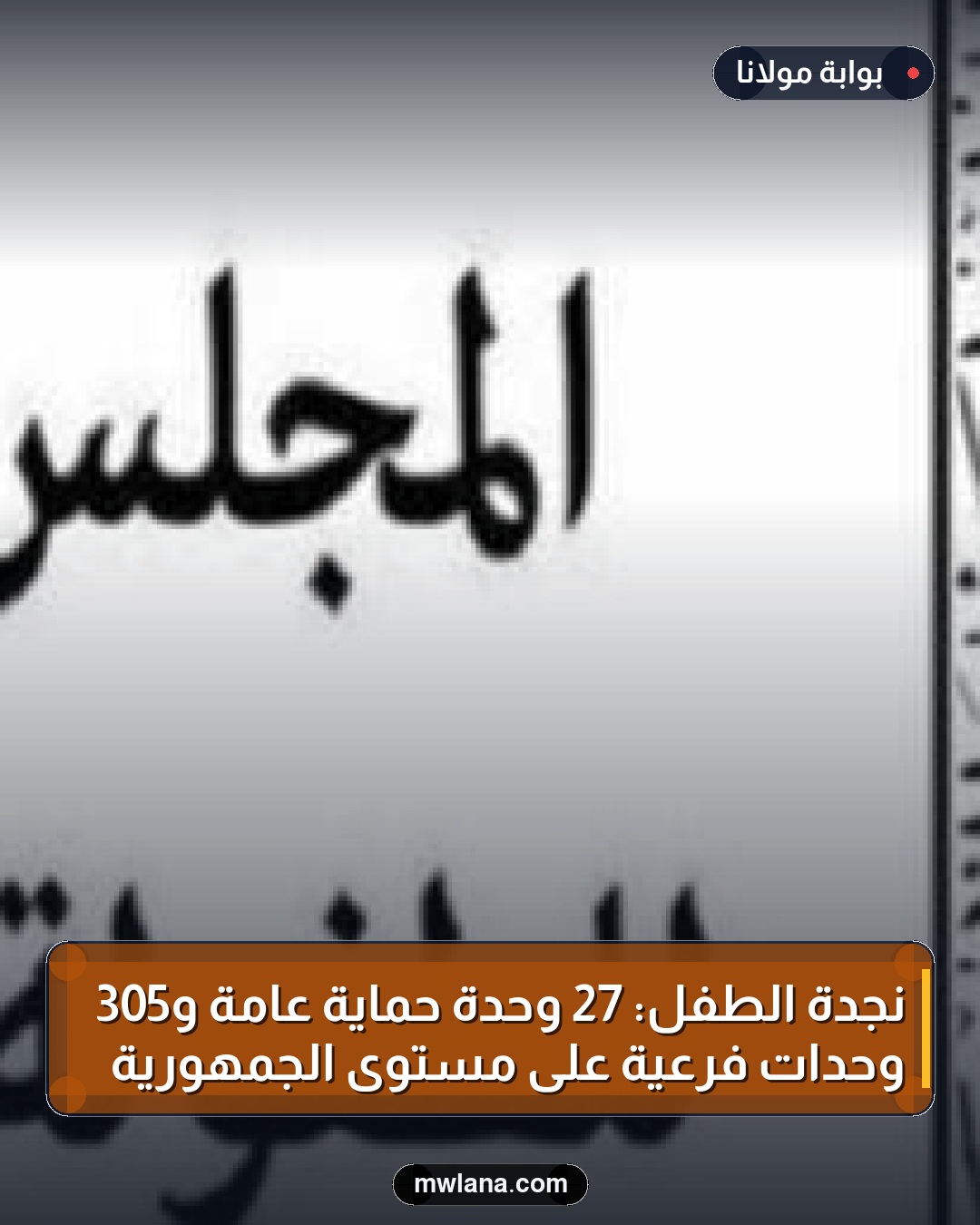 نجدة الطفل: 27 وحدة حماية عامة و305 وحدات فرعية على مستوى الجمهورية