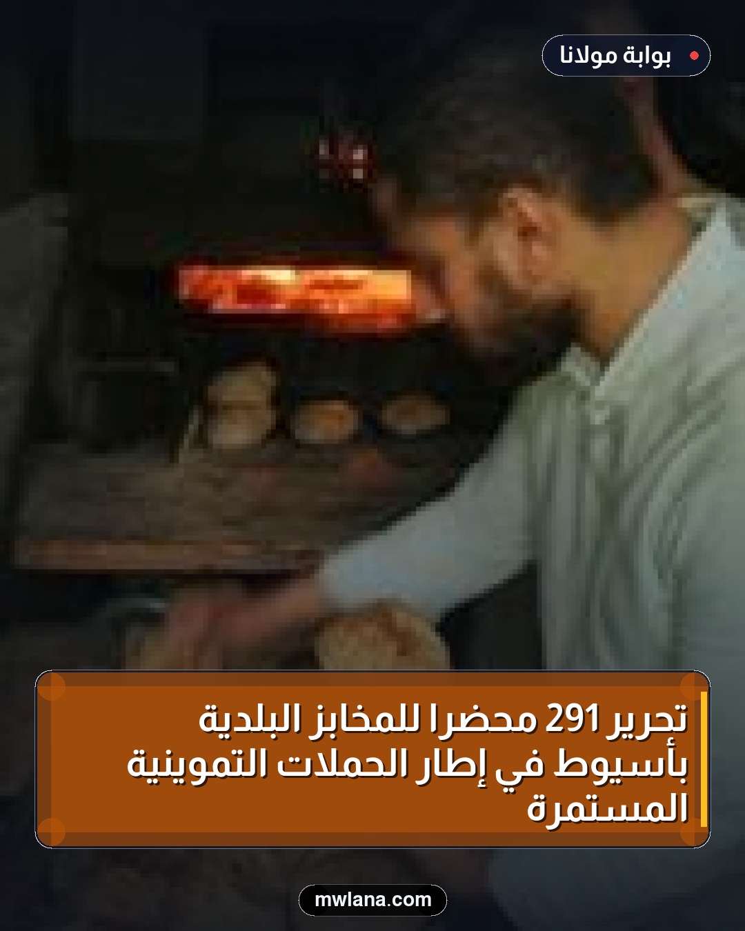 تحرير 291 محضرًا للمخابز البلدية بأسيوط في إطار الحملات التموينية المستمرة