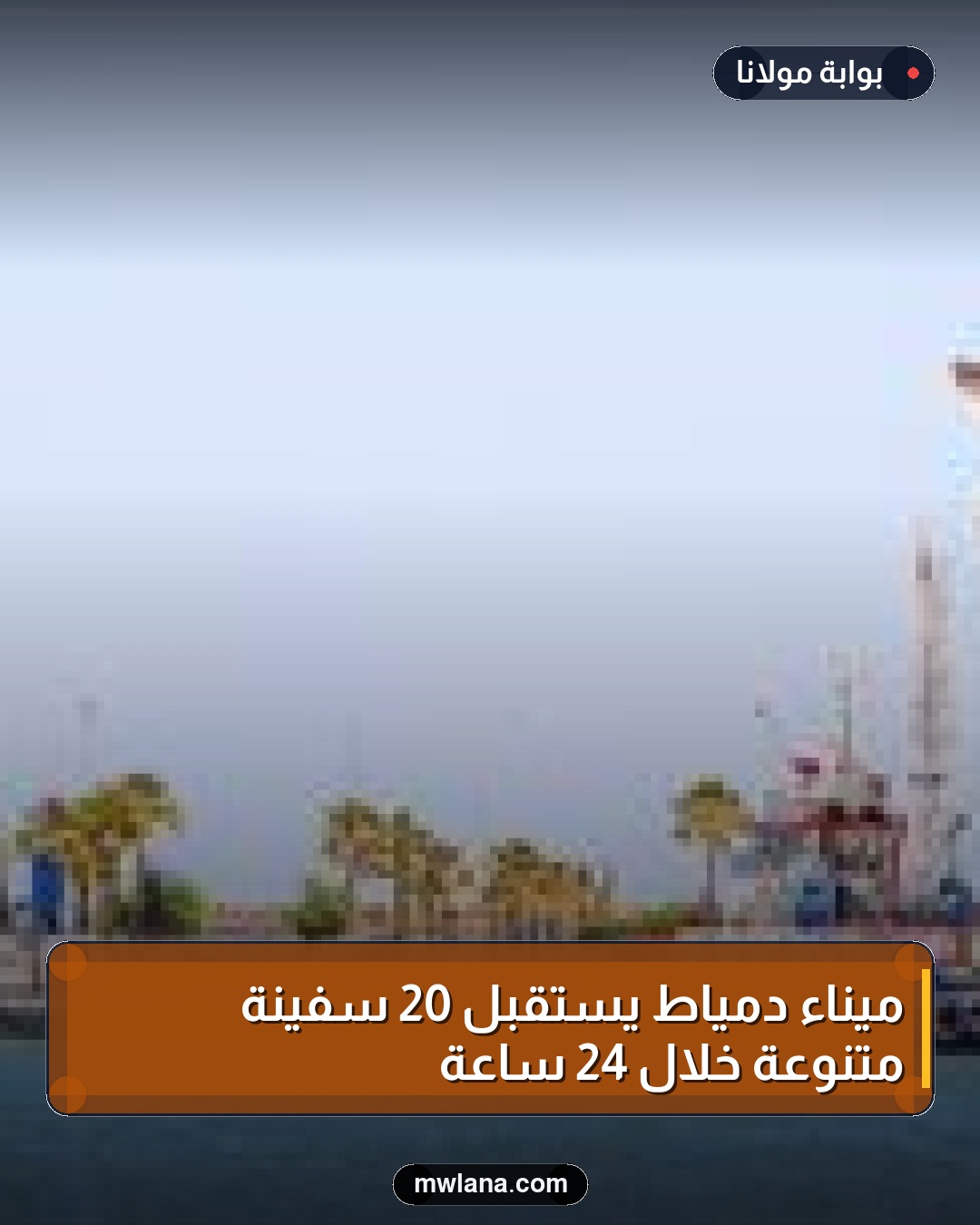ميناء دمياط يستقبل 20 سفينة متنوعة خلال 24 ساعة