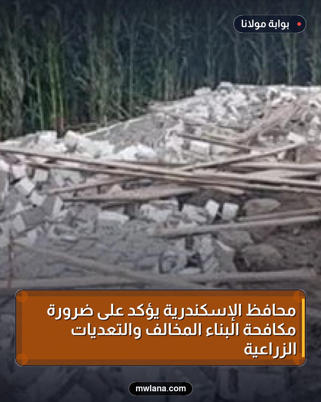 محافظ الإسكندرية يؤكد على ضرورة مكافحة البناء المخالف والتعديات الزراعية