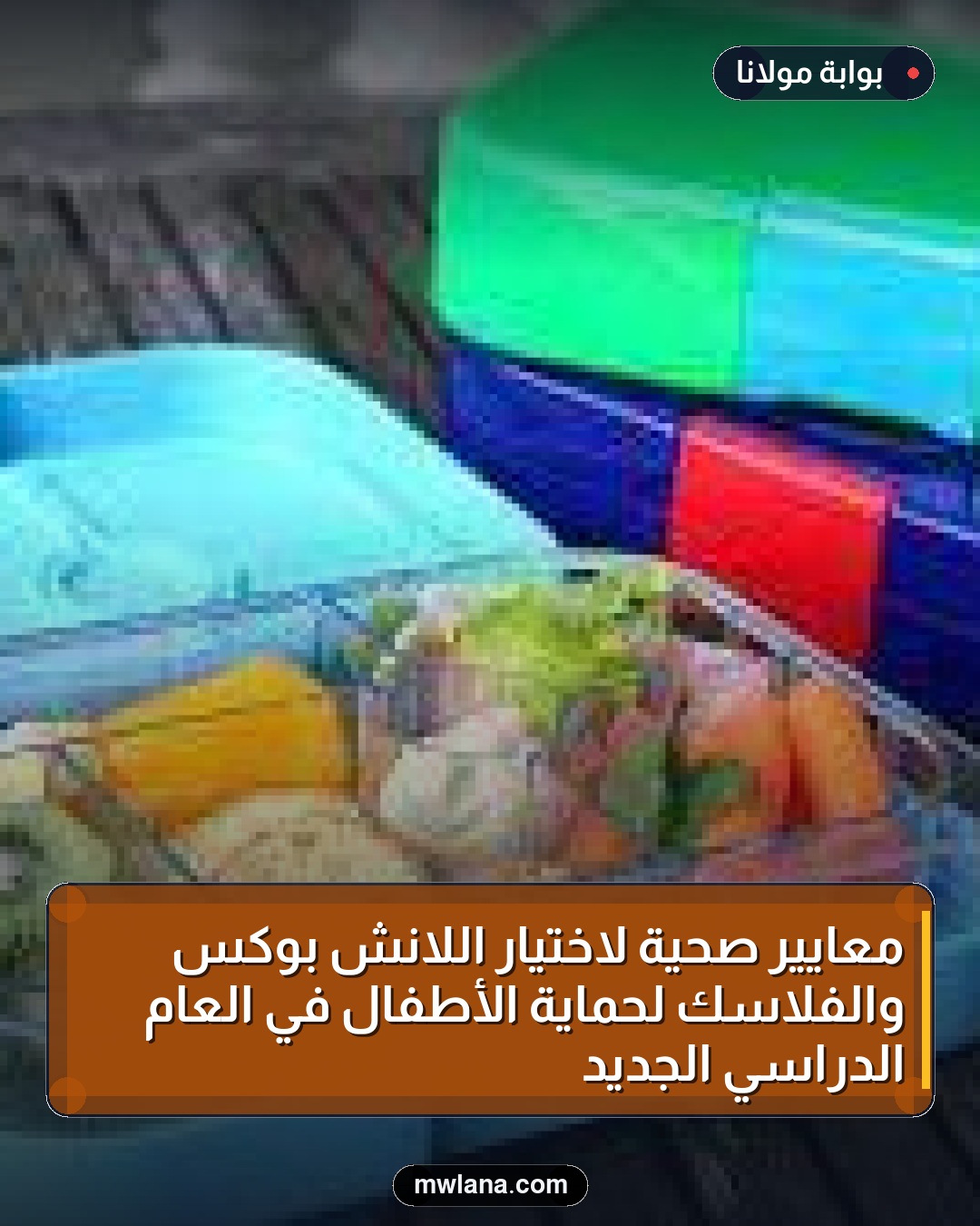 معايير صحية لاختيار اللانش بوكس والفلاسك لحماية الأطفال في العام الدراسي الجديد