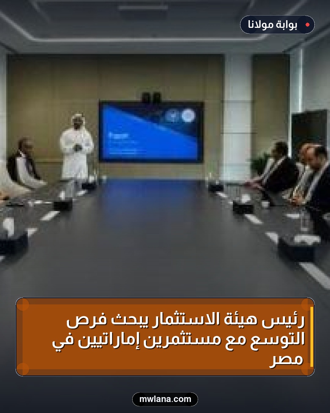 رئيس هيئة الاستثمار يبحث فرص التوسع مع مستثمرين إماراتيين في مصر