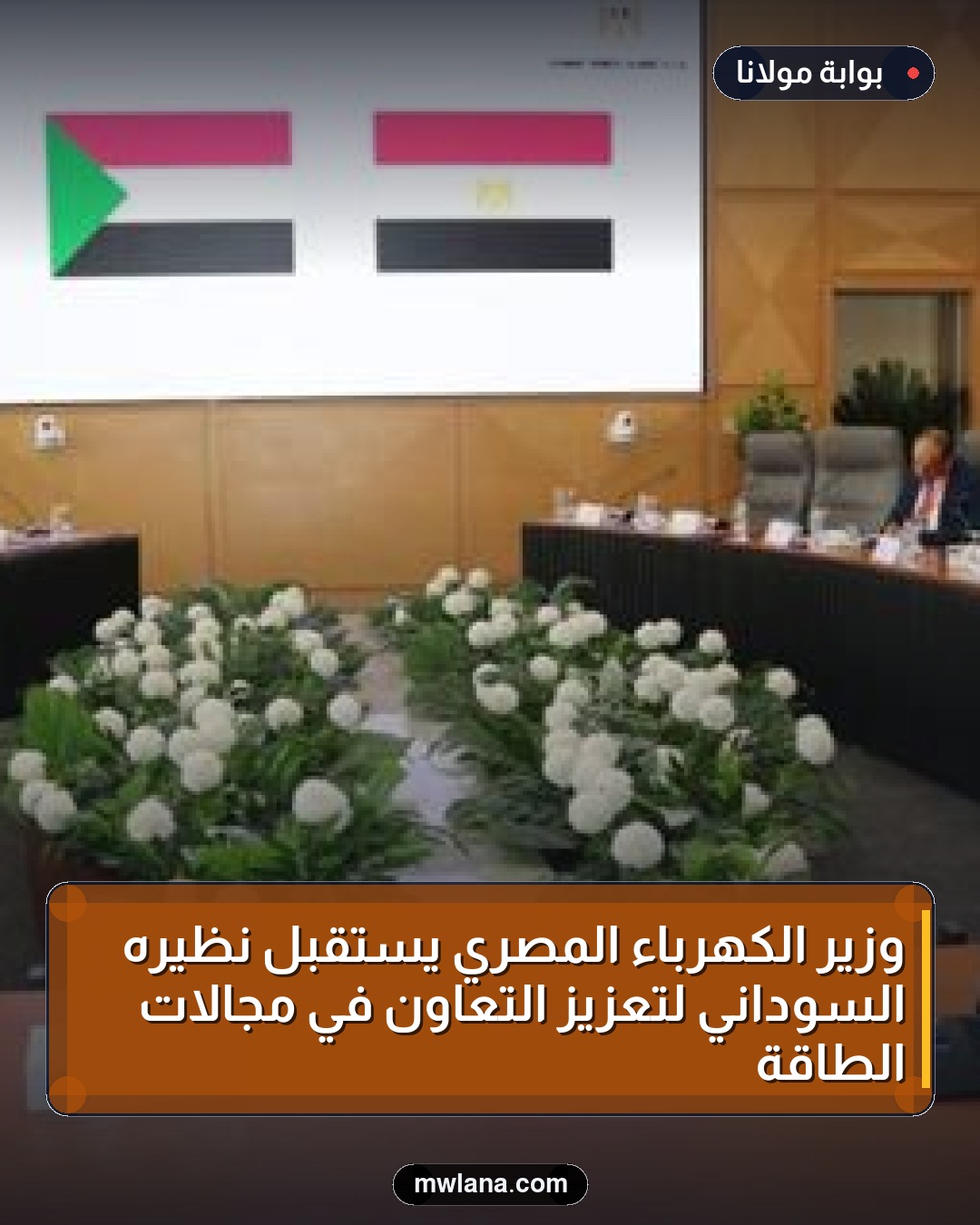 وزير الكهرباء المصري يستقبل نظيره السوداني لتعزيز التعاون في مجالات الطاقة
